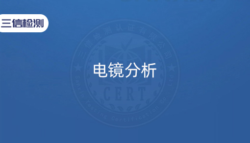 电镜分析